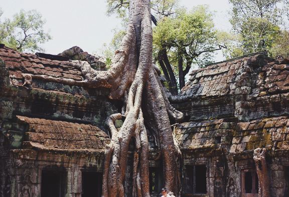 SIEM REAP, CAMBODIA
