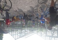 Tour: Delft countryside & food bike tour Tour image: Delft countryside & food bike tour