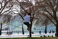 Tour: Pedroslacklining Tour image: Pedroslacklining